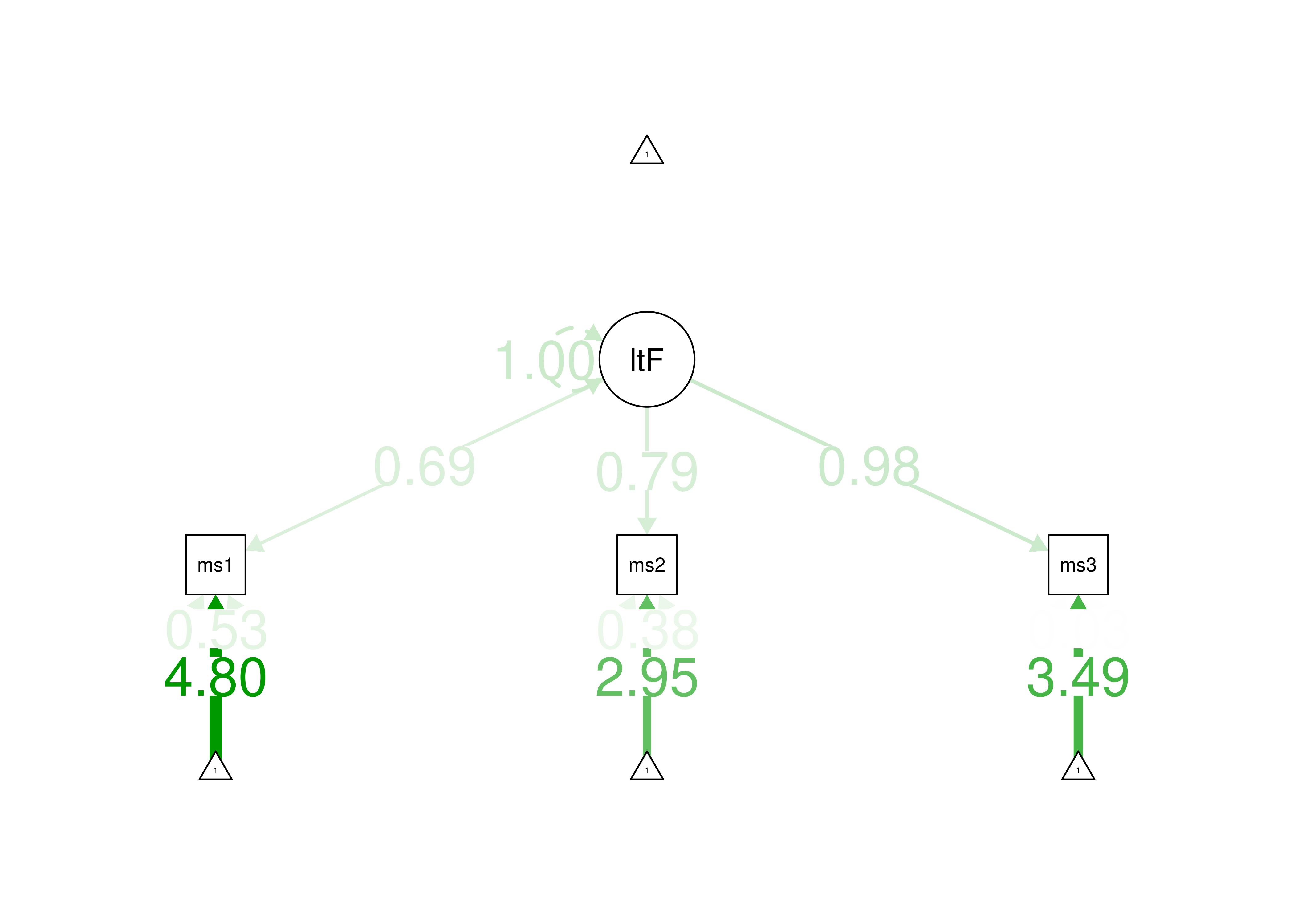 Measurement Model.