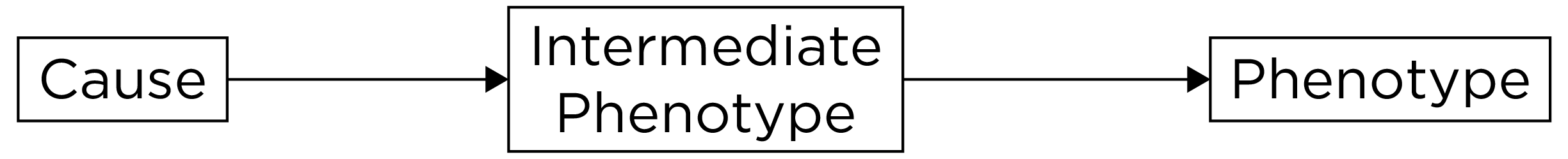 Example of an Endophenotype.