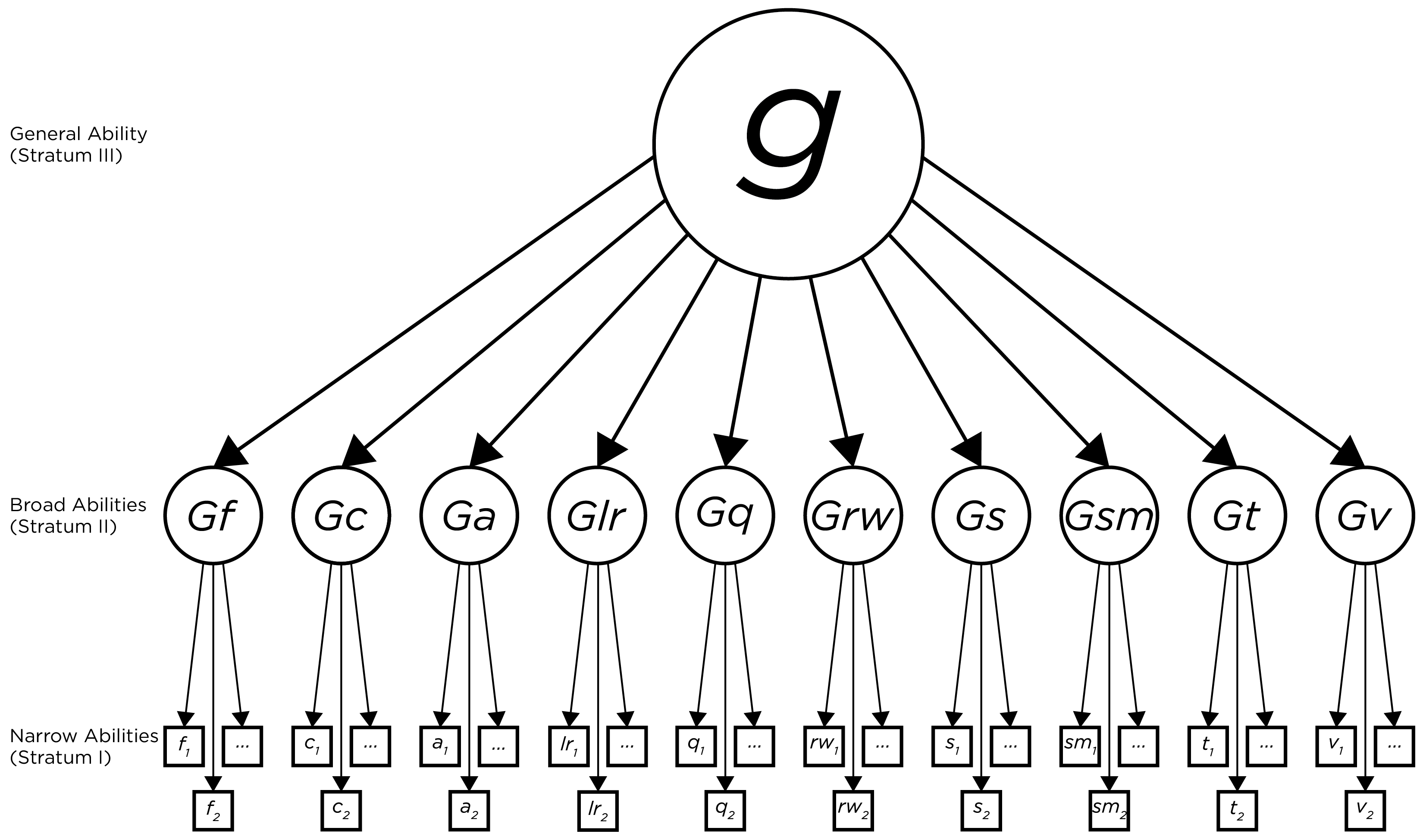 Depiction of the Cattell-Horn-Carroll Hierarhical Theory of Intelligence.