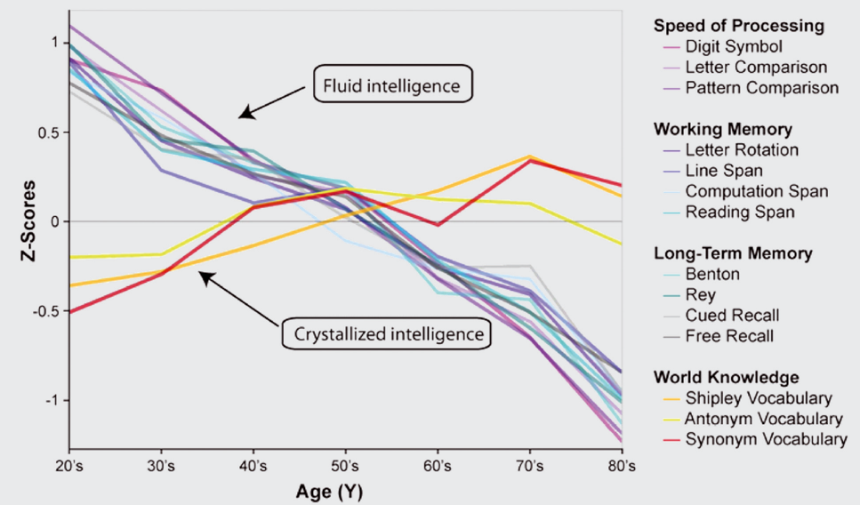 Cross-sectional aging data showing behavioral performance on measures of speed of processing (ie, Digit Symbol, Letter Comparison, Pattern Comparison), working memory (ie, Letter rotation, Line span, Computation Span, Reading Span), Long-Term Memory (ie, Benton, Rey, Cued Recall, Free Recall), and world knowledge (ie, Shipley Vocabulary, Antonym Vocabulary, Synonym Vocabulary). Almost all measures of cognitive function (fluid intelligence) show decline with age, except world knowledge (crystallized intelligence), which may even show some improvement. (Figure reprinted from @Park2013, Figure 1, p. 111. Park, D. C., & Bischof, G. N. (2013). The aging mind: neuroplasticity in response to cognitive training. *Dialogues in Clinical Neuroscience*, *15*(1), 109–119. <https://doi.org/10.31887/DCNS.2013.15.1/dpark> Copyright (c) Journal World Federation of Societies of Biological Psychiatry, reprinted by permission of Taylor & Francis Ltd, <https://www.tandfonline.com> on behalf of (c) Journal World Federation of Societies of Biological Psychiatry. No license is provided to any third party permission to reproduce this copyrighted material.)
